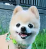 Profile picture for user editor