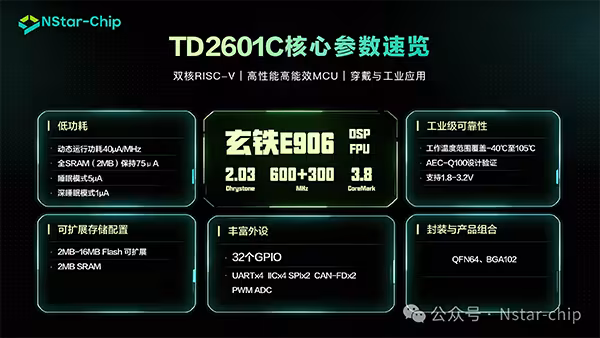 ThunderBird TD2601C双核RISC-V高性能MCU正式量产发布