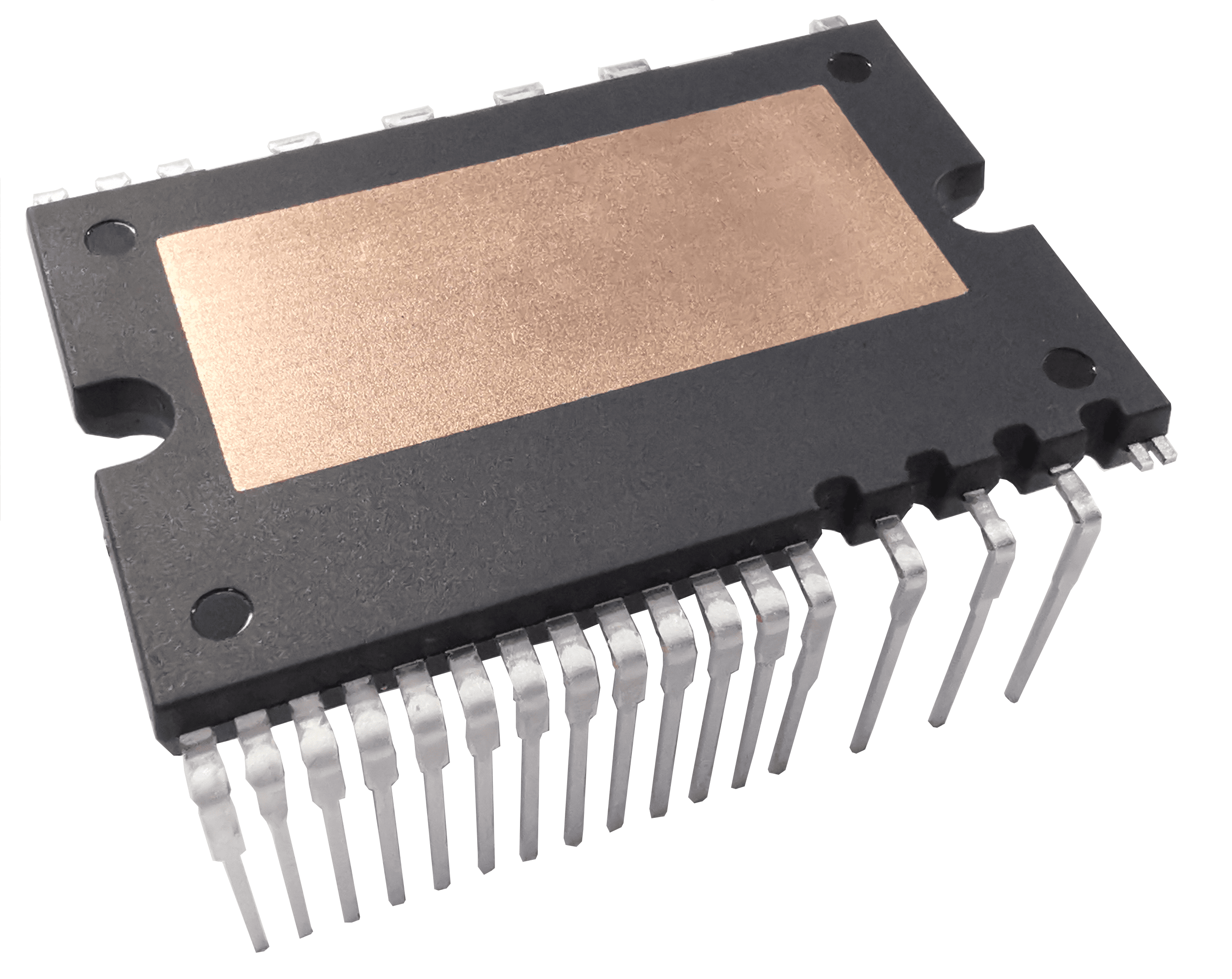 图1：DIP25 IPM-min.png