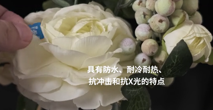 1640153314621400.jpg 4.jpg