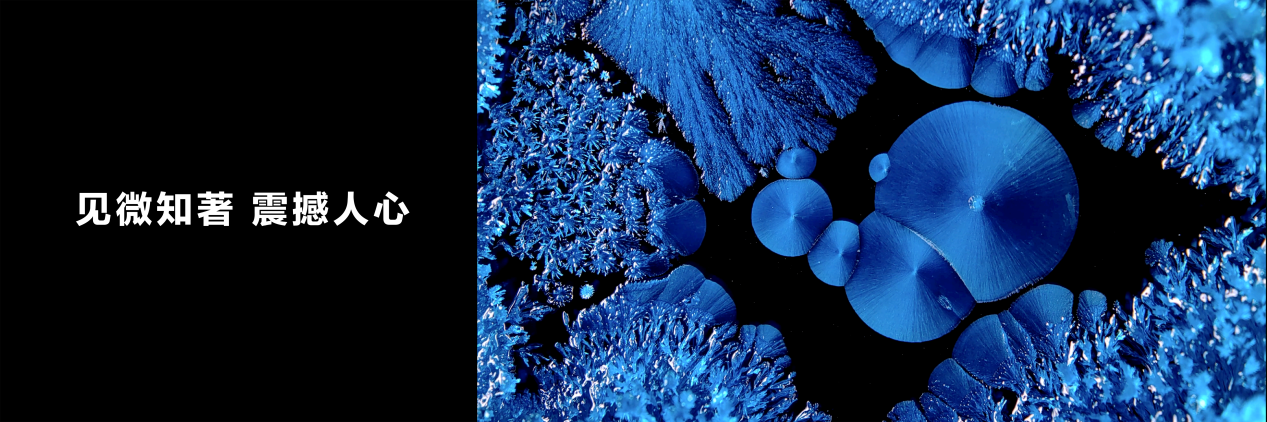 1662514350800034.png 15.png