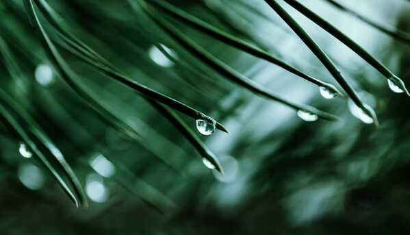 AI_sustainability_20230112_Original.jpg