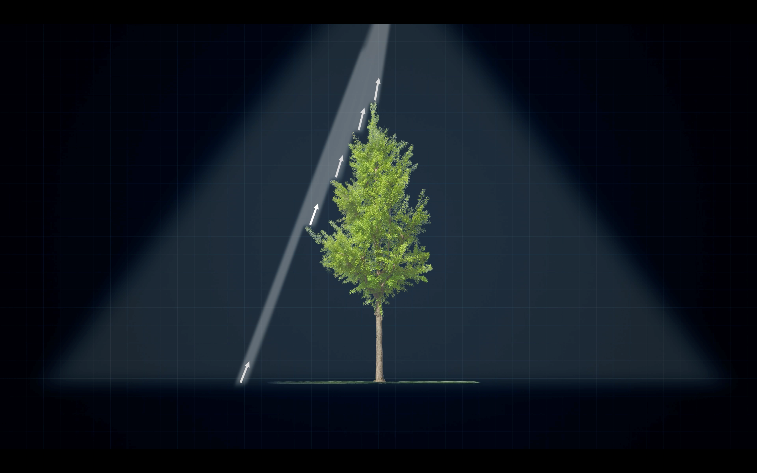 1697014075223041.png 3.png