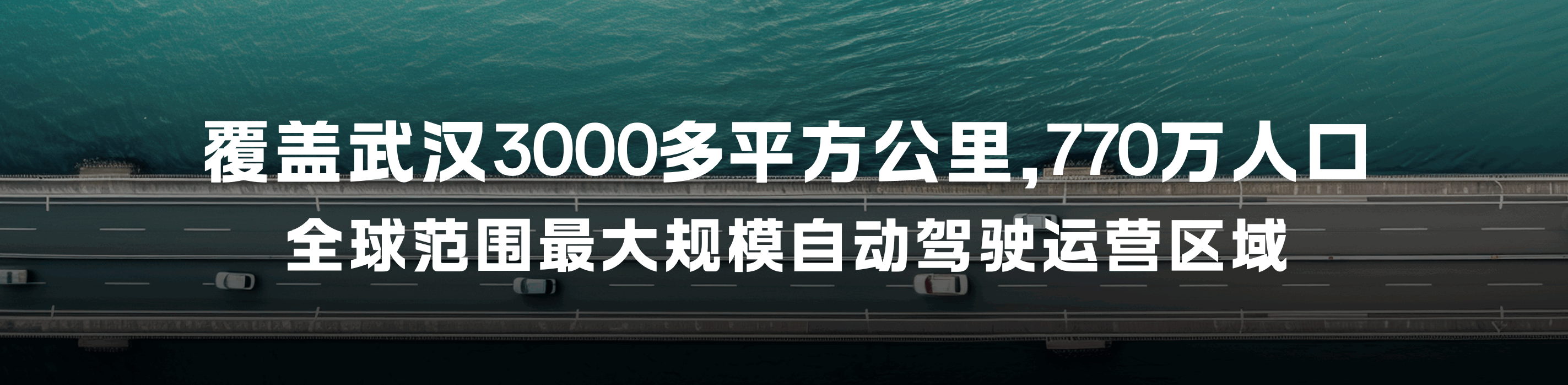 48 (1).png