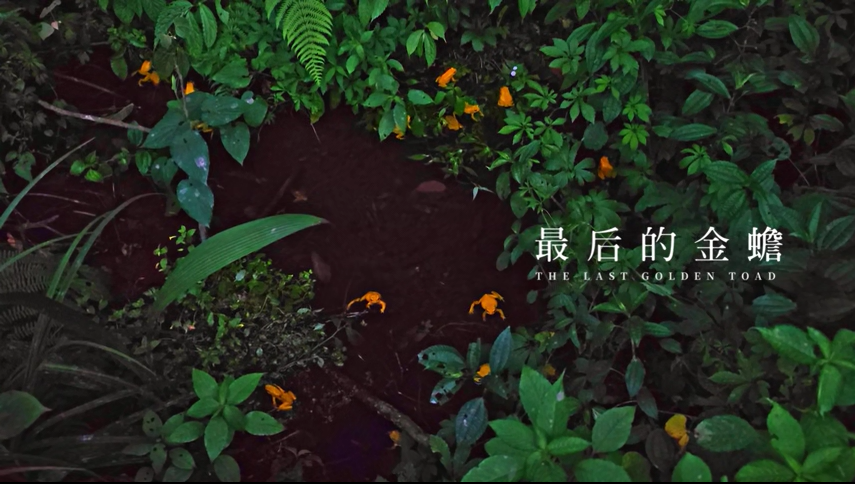 1733128193415335.png 5.png