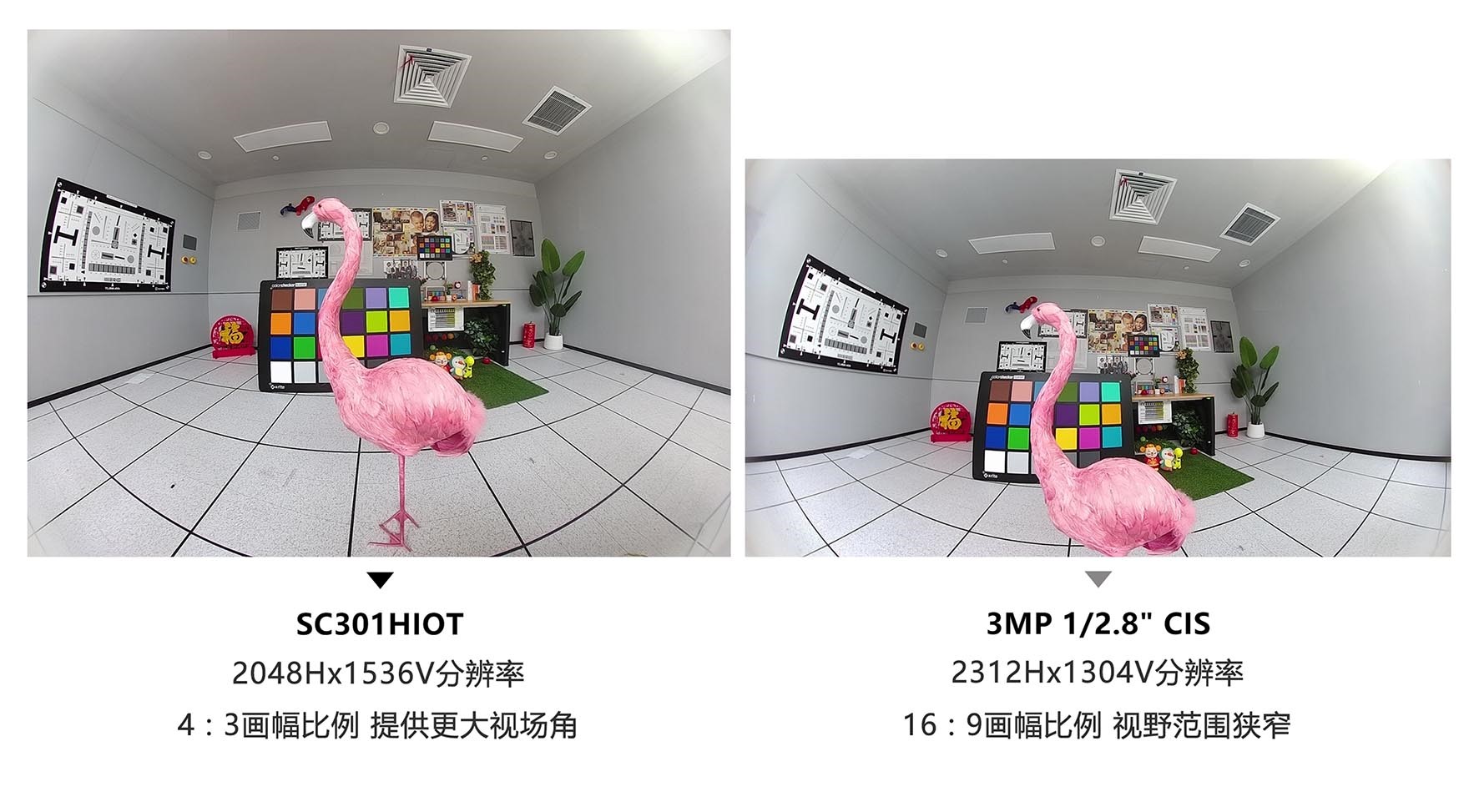 1736496308953901.jpg 2.jpg