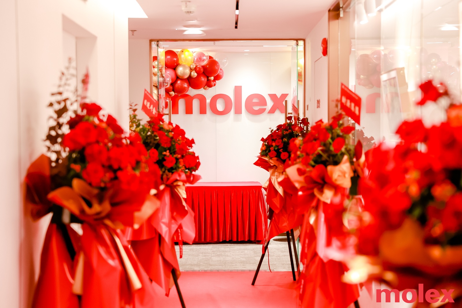 1755573899842985.jpg MOL543. Molex automotive sales office in Shanghai_opening (PR).jpg