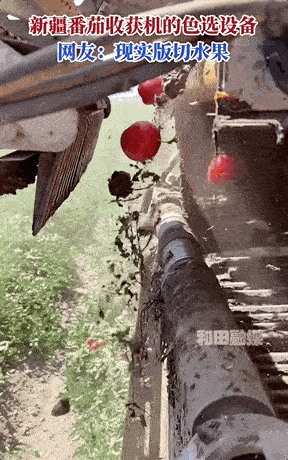 1 (1).gif